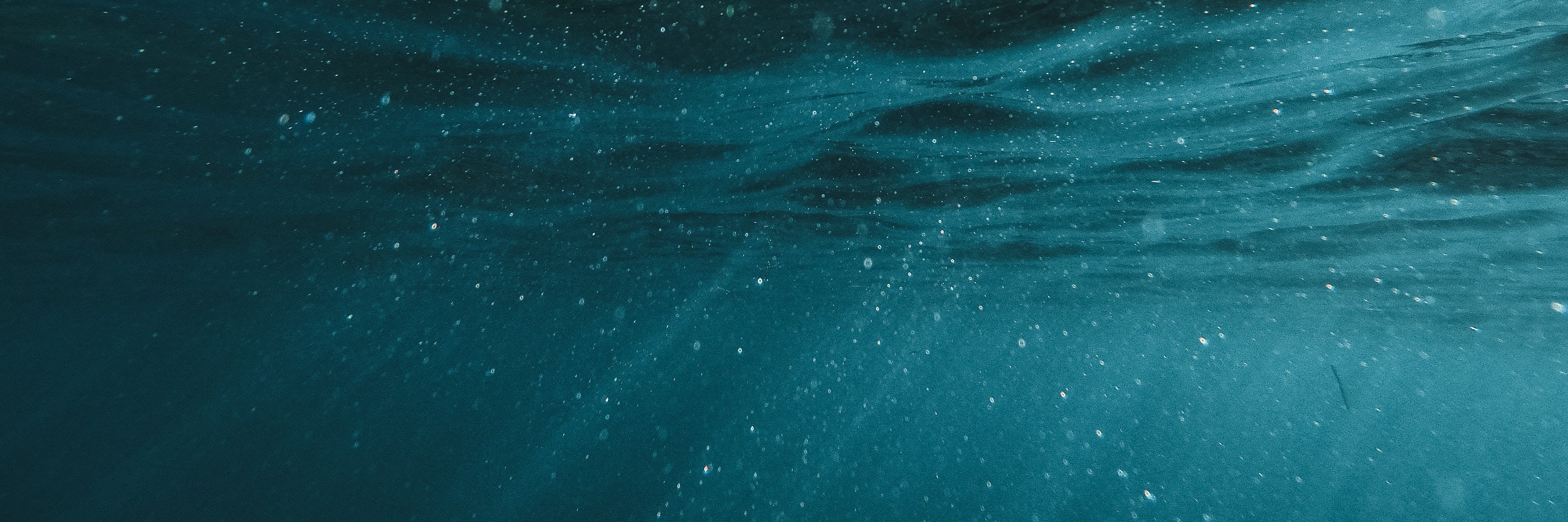 UNDERWATER IMAGE BANNER