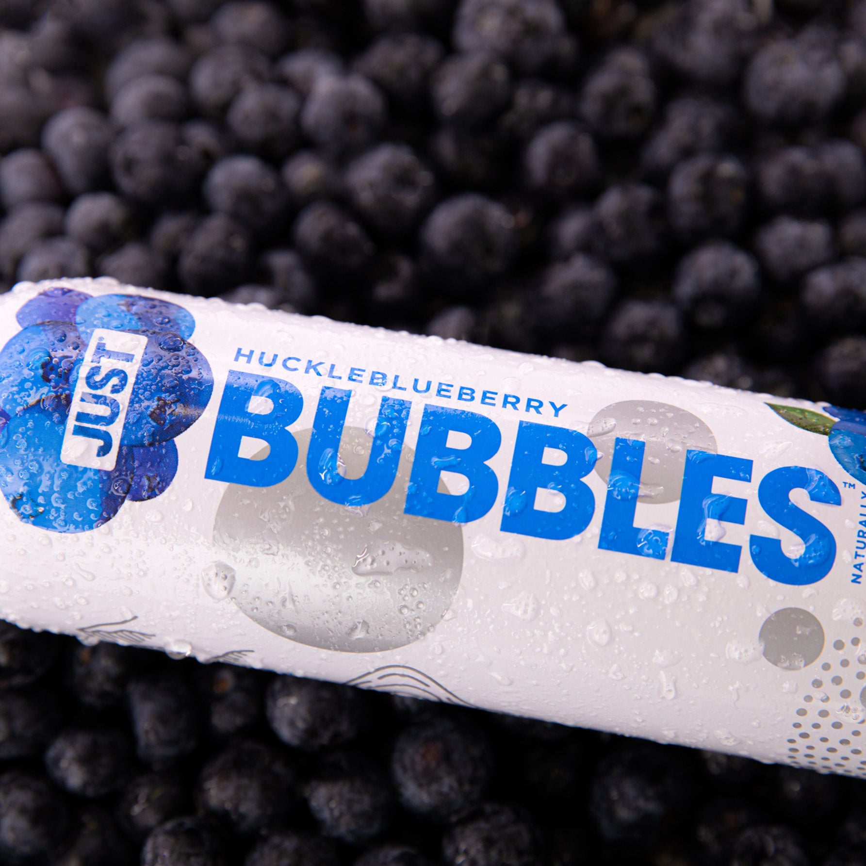 HuckleBlueberry Bubbles-- 16 fl oz | 24 Pack - JUST WATER