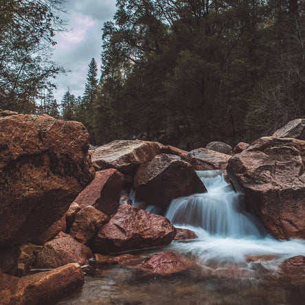 JUST is 100% mountain-sourced spring water, which is why it’s rich in minerals and naturally alkaline—both Still and Bubbles. Both mountain watersheds our waters come from are replenished annually with rain and snowfall. Sustainable and responsible.