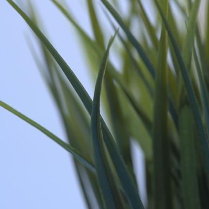 The carton is 100% recyclable, efficient to ship, and you can reuse it on-the-go.