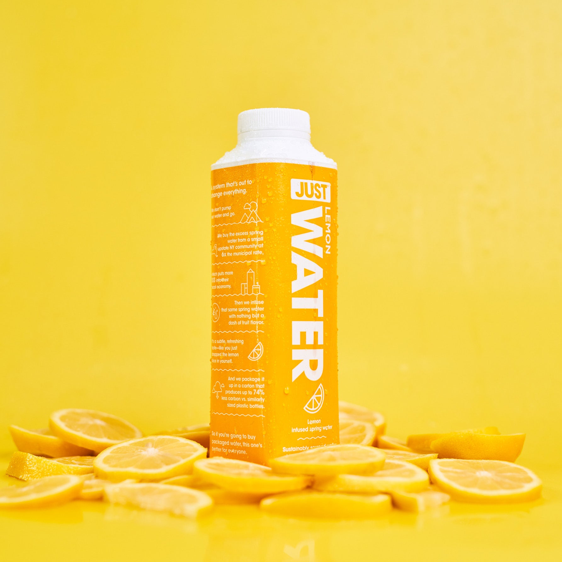 Lemon Water Box Alkaline Boxed Water for Delivery – JUST WATER