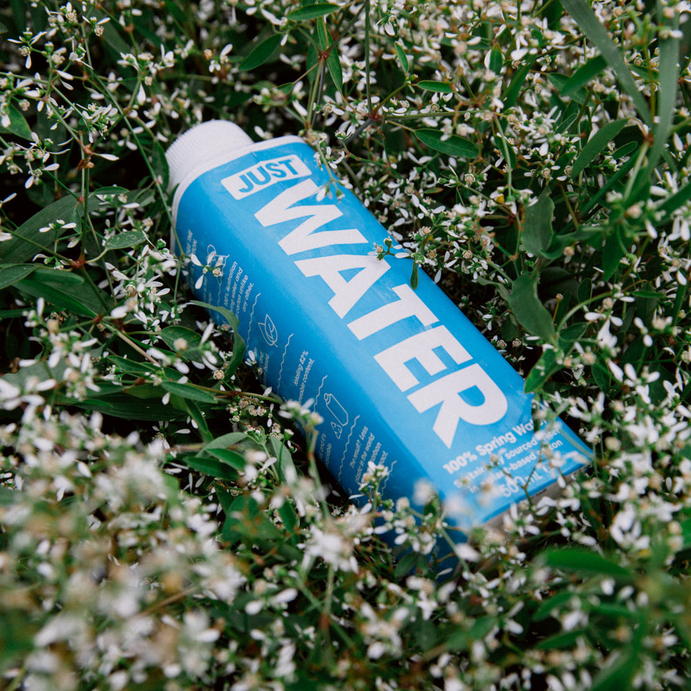 Just Water Natural Alkaline Spring Water Case
